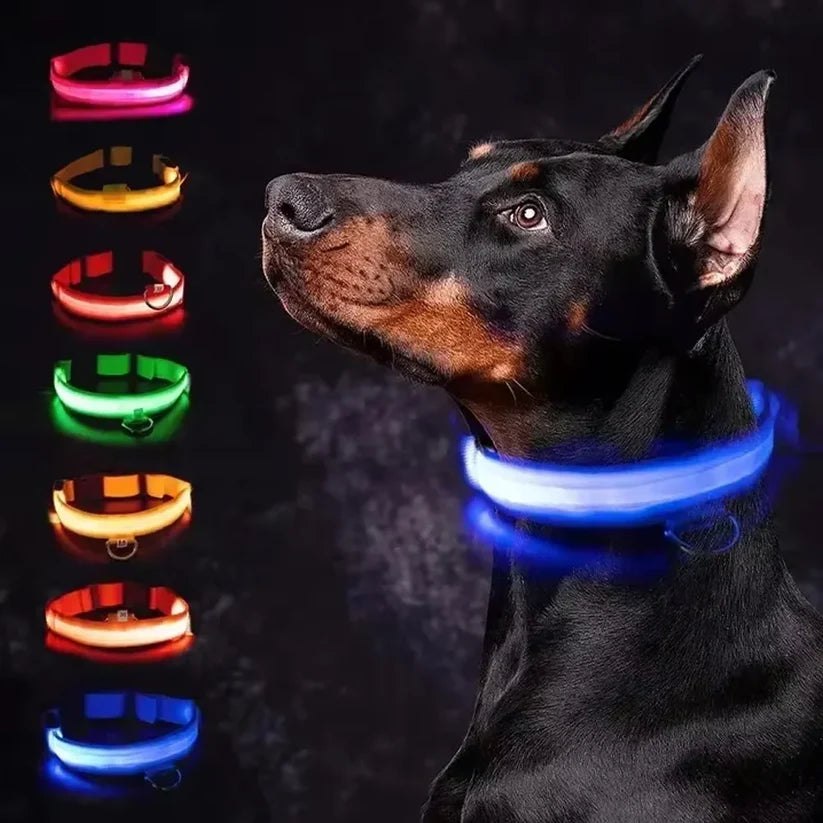 LED Dog Collar - Glow in the Dark